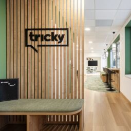 Tricky_iroda