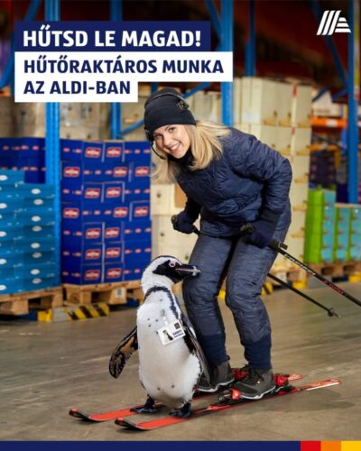 ALDIKarrier_kozossegimedia (10)
