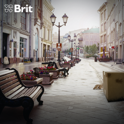 Brit_Elveszettkutyak (3)