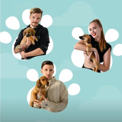 Brit_Kiskutyakihivas_02