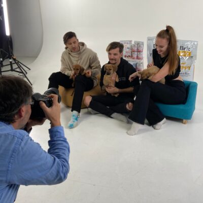 Brit_Kiskutyakihivas_03