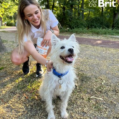 Brit_Kutyakakiosztas_03