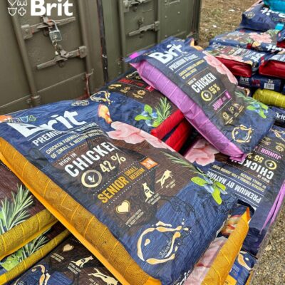 Brit_Szavazzamenheéyre (2)