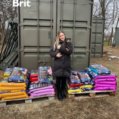 Brit_Szavazzamenheéyre (3)