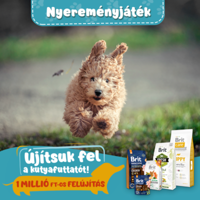 Brit_Ujitsukfelafuttatot (1)