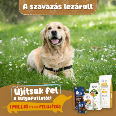 Brit_Ujitsukfelafuttatot (2)