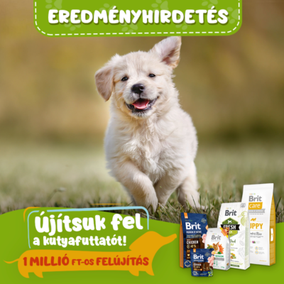 Brit_Ujitsukfelafuttatot (3)