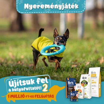 Brit_Ujitsukfelafuttatot (4)