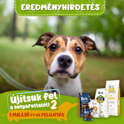 Brit_Ujitsukfelafuttatot (6)