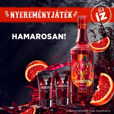 StHubertus_Vernarancs (1)