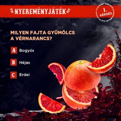 StHubertus_Vernarancs (2)